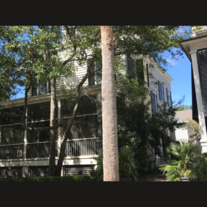 Colonial Shutters 23