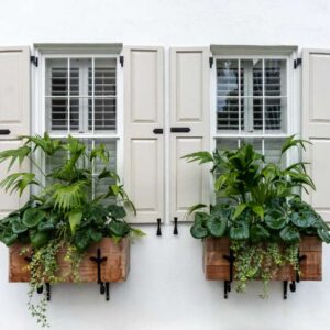 Colonial Shutters